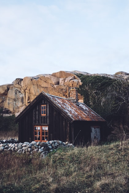 Essential FAQs for Your Cabin Website